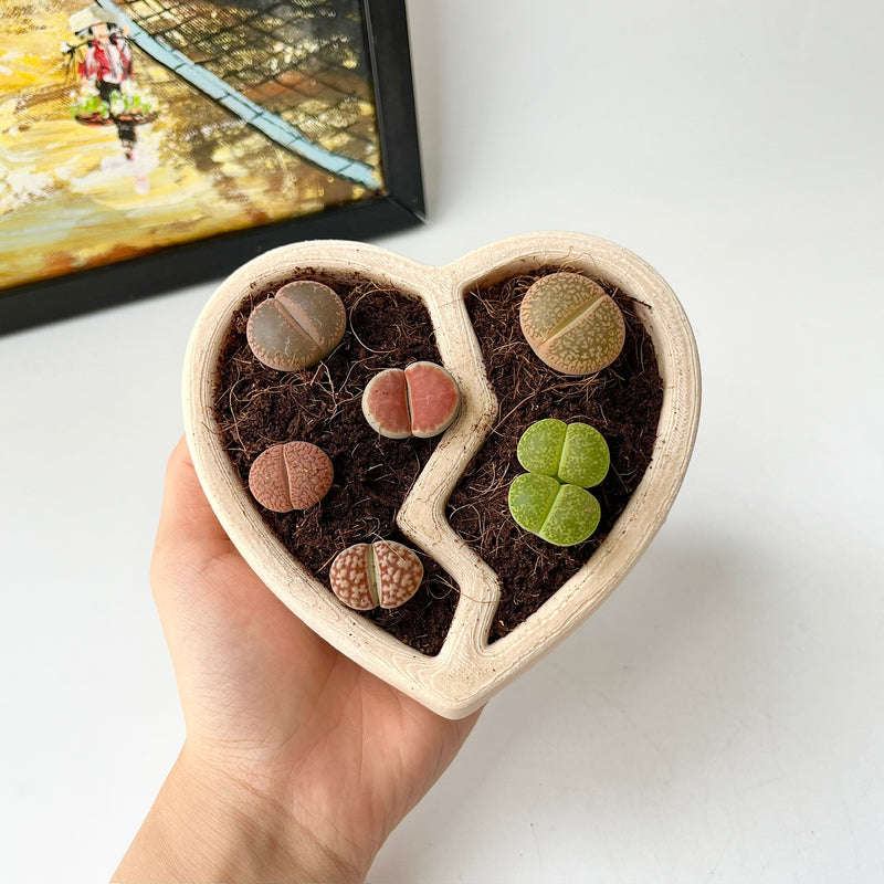 3D-Printed Heart-Shaped Plant Pot