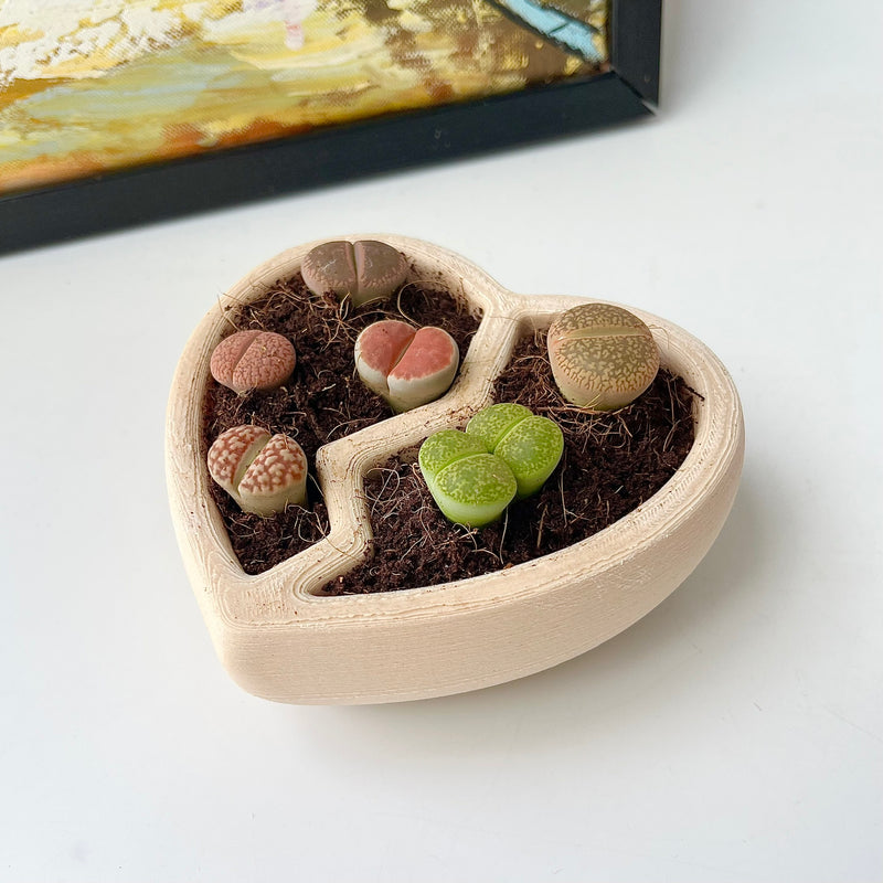 3D-Printed Heart-Shaped Plant Pot