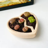 3D-Printed Heart-Shaped Plant Pot
