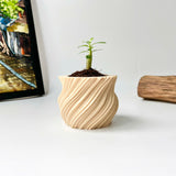 Mini Twisted 3D-Printed Plant Pot – Home Decoration – Safe Plastic