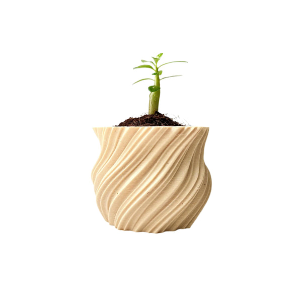 Mini Twisted 3D-Printed Plant Pot – Home Decoration – Safe Plastic