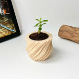 Mini Twisted 3D-Printed Plant Pot – Home Decoration – Safe Plastic