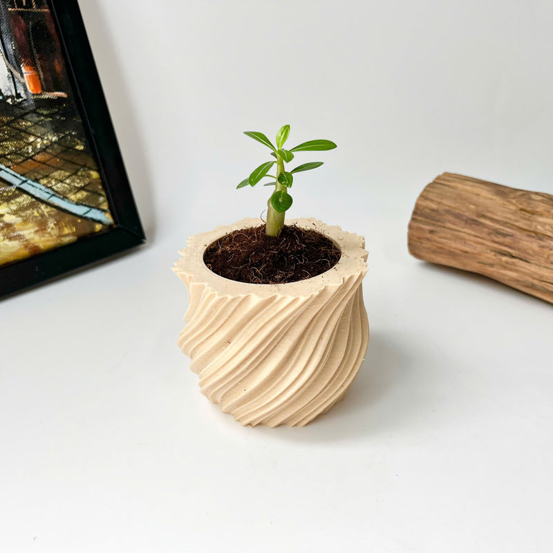Mini Twisted 3D-Printed Plant Pot – Home Decoration – Safe Plastic