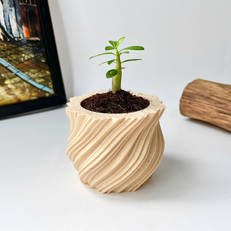 Mini Twisted 3D-Printed Plant Pot – Home Decoration – Safe Plastic