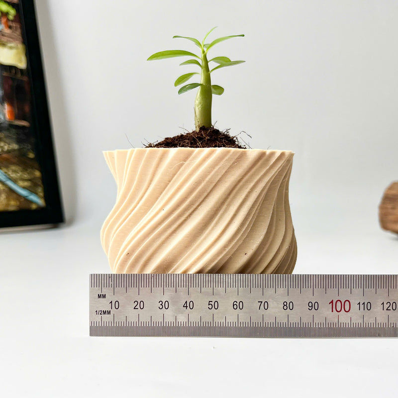 Mini Twisted 3D-Printed Plant Pot – Home Decoration – Safe Plastic