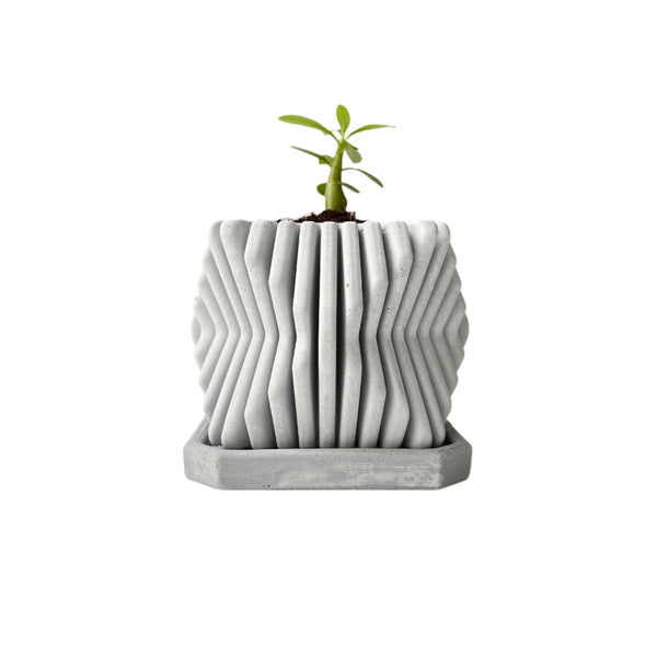 Square-Twisted Plant Pot – Indoor/Outdoor Decor – Durable Material