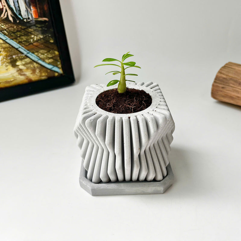 Square-Twisted Plant Pot – Indoor/Outdoor Decor – Durable Material