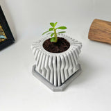 Square-Twisted Plant Pot – Indoor/Outdoor Decor – Durable Material