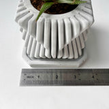 Square-Twisted Plant Pot – Indoor/Outdoor Decor – Durable Material