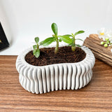 Wavy Plant Pot