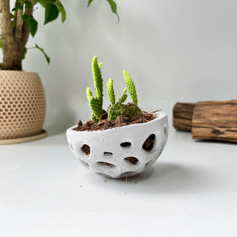 Voronoi Succulent Planter Vase - Artistic decorations