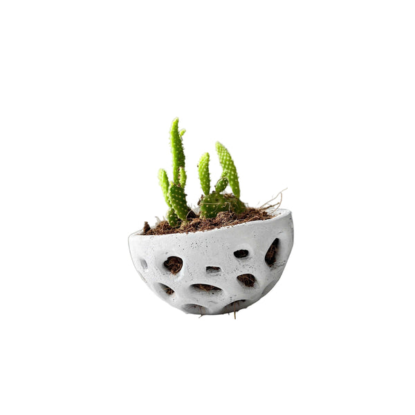 Voronoi Succulent Planter Vase - Artistic decorations
