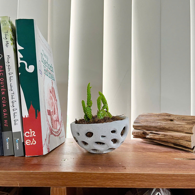 Voronoi Succulent Planter Vase - Artistic decorations