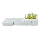 Cat grass pot – Scratching board – A toy that helps your cat relax