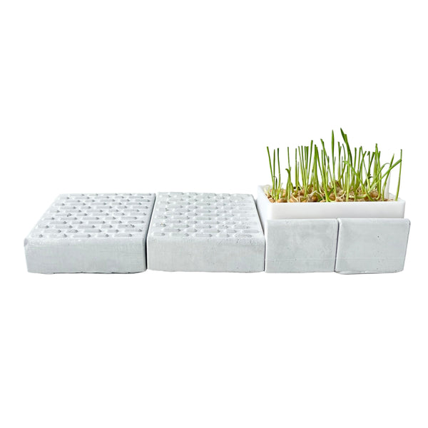 Cat grass pot – Scratching board – A toy that helps your cat relax