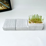 Cat grass pot – Scratching board – A toy that helps your cat relax