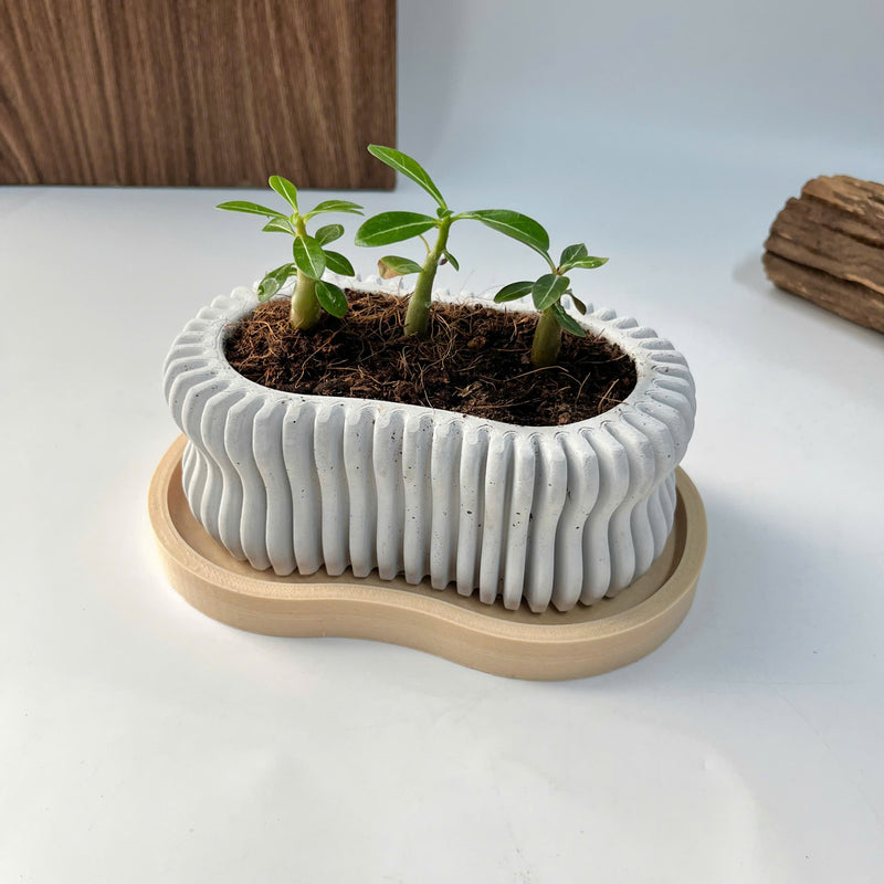 Wavy Plant Pot