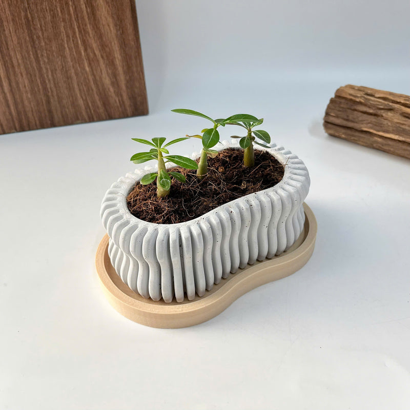 Wavy Plant Pot