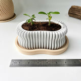Wavy Plant Pot