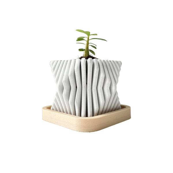 Square-Twisted Plant Pot – Indoor/Outdoor Decor – Durable Material - Wood-Plastic Tray