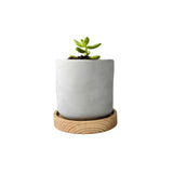 Minimalist Planter, Indoor Plant Pot, Durable Material