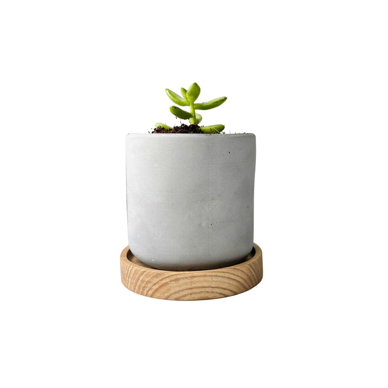 Minimalist Planter, Indoor Plant Pot, Durable Material