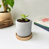 Minimalist Planter, Indoor Plant Pot, Durable Material