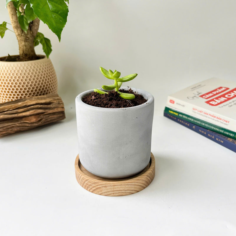 Minimalist Planter, Indoor Plant Pot, Durable Material