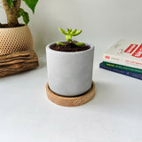 Minimalist Planter, Indoor Plant Pot, Durable Material
