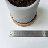 Minimalist Planter, Indoor Plant Pot, Durable Material