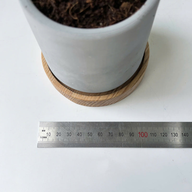 Minimalist Planter, Indoor Plant Pot, Durable Material