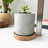 Minimalist Planter, Indoor Plant Pot, Durable Material