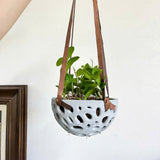 Pot for Orchids (with hanger)