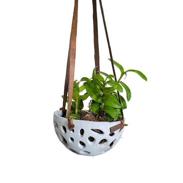 Pot for Orchids (with hanger)
