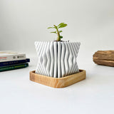 Square-Twisted Plant Pot (wooden drainage tray)