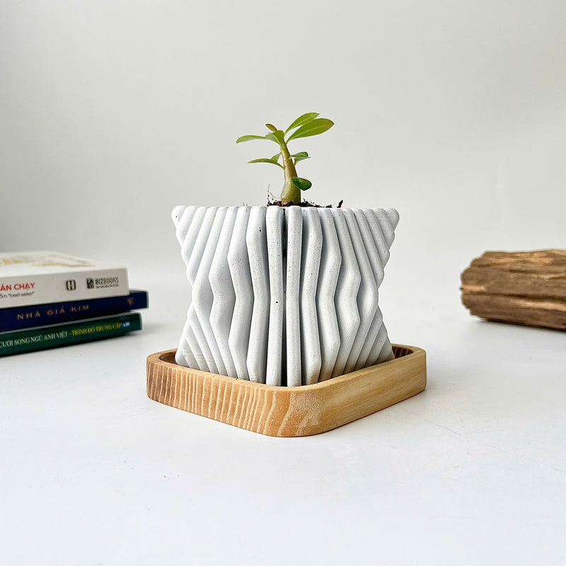Square-Twisted Plant Pot (wooden drainage tray)