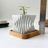 Square-Twisted Plant Pot (wooden drainage tray)