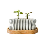 Wavy Plant Pot (wooden drainage tray)