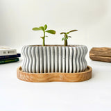 Wavy Plant Pot (wooden drainage tray)