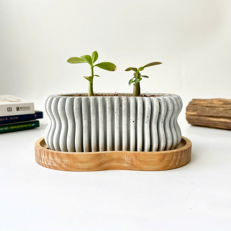 Wavy Plant Pot (wooden drainage tray)