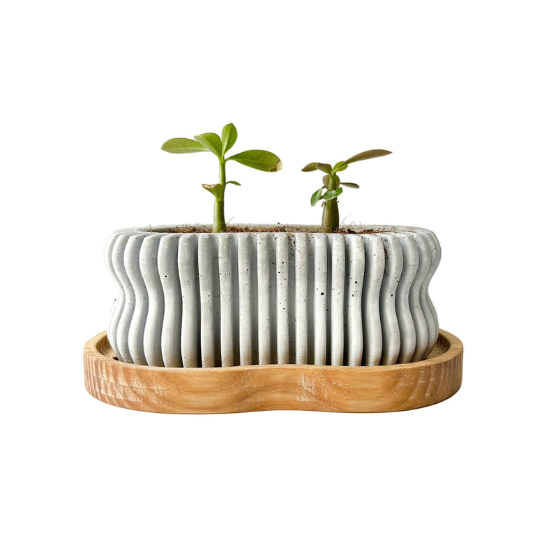 Wavy Plant Pot (wooden drainage tray)