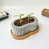 Wavy Plant Pot (wooden drainage tray)