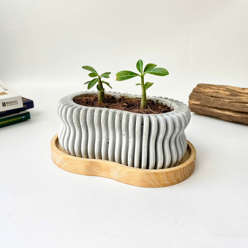 Wavy Plant Pot (wooden drainage tray)