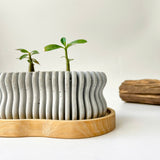 Wavy Plant Pot (wooden drainage tray)