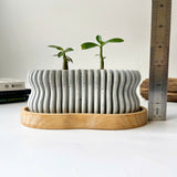 Wavy Plant Pot (wooden drainage tray)
