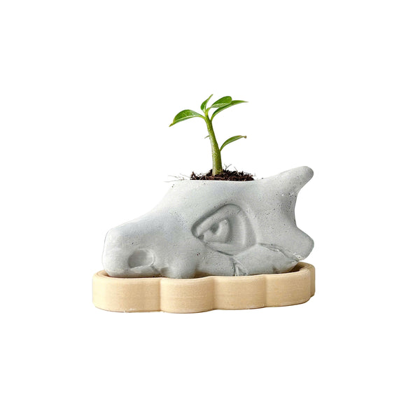 Cubone Plant Pot