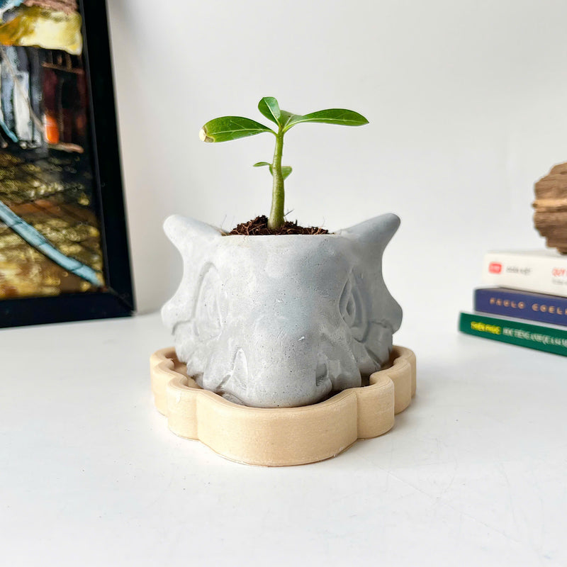 Cubone Plant Pot
