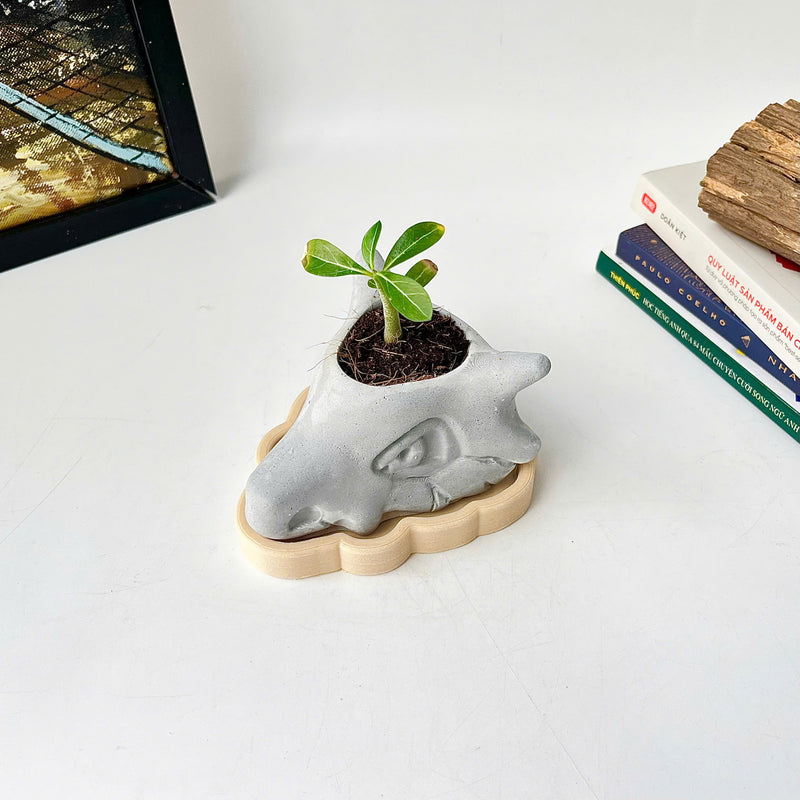 Cubone Plant Pot
