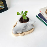 Cubone Plant Pot