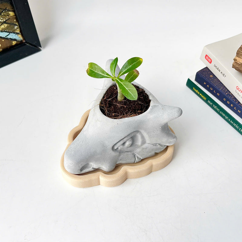Cubone Plant Pot